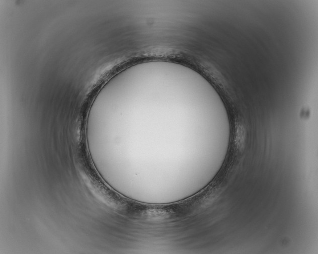 X0000111370636200907241246