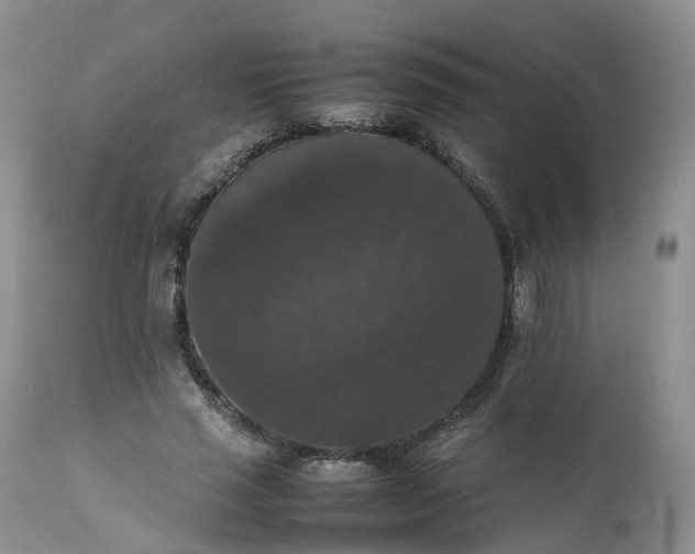 X0000111370637200907241246