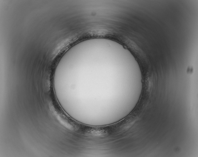 X0000111370638200907241246