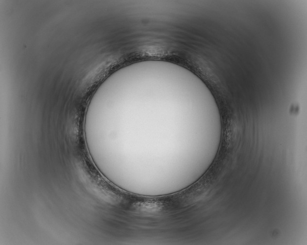 X0000111370639200907241246