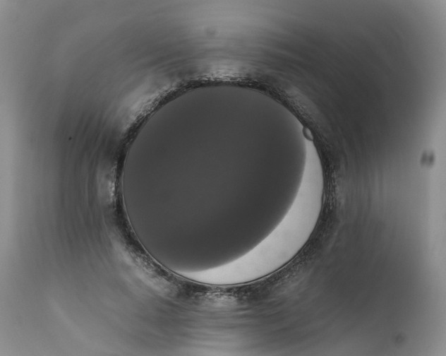 X0000111370640200907241246