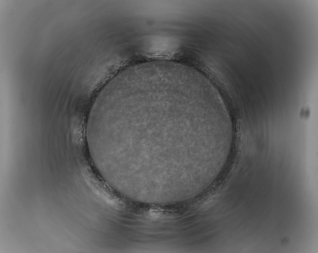 X0000111370641200907241246