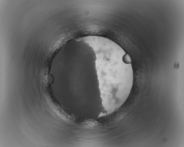 X0000111370642200907241246