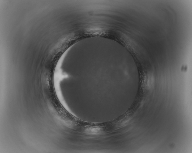 X0000111370643200907241246