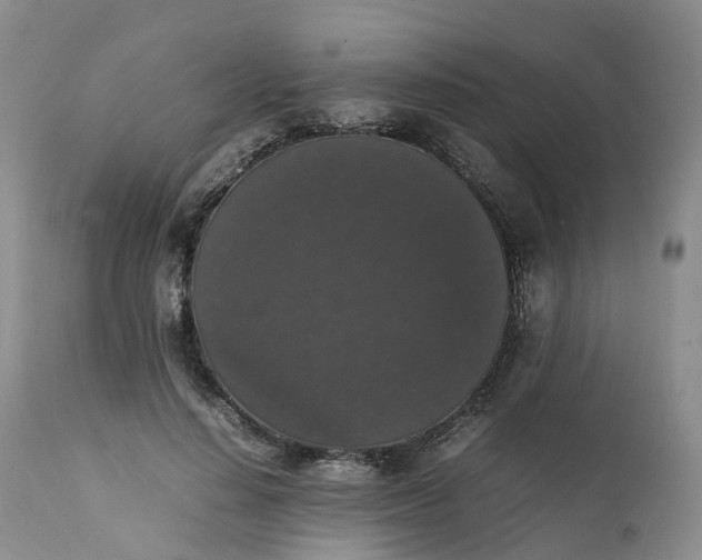 X0000111370644200907241246