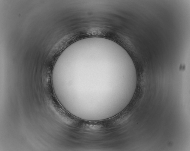 X0000111370645200907241246