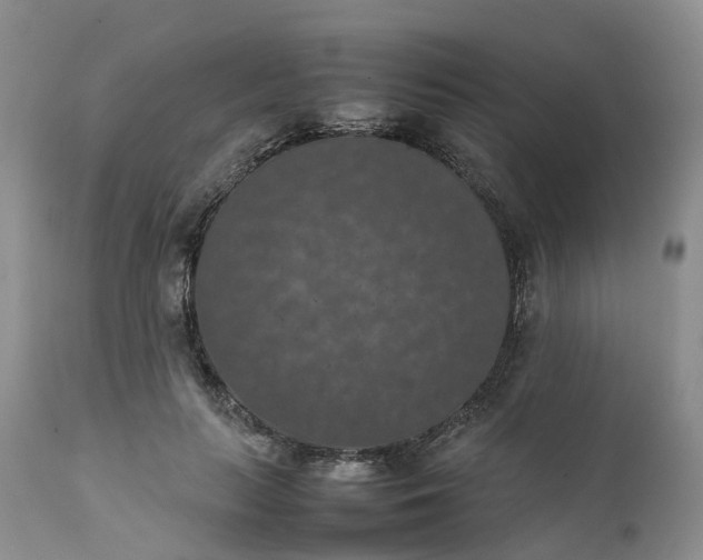 X0000111370647200907241246