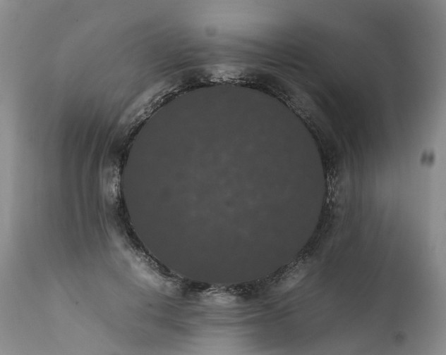 X0000111370648200907241246