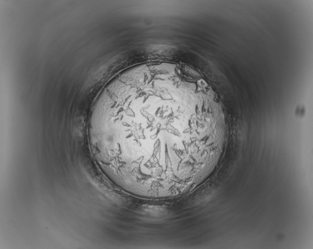 X0000111370649200907241247