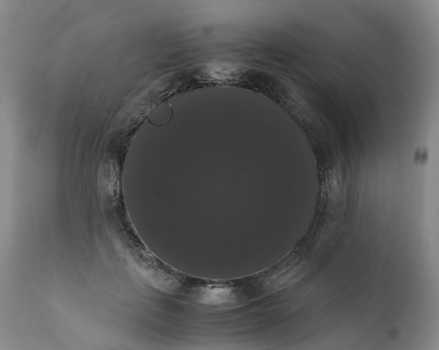 X0000111370651200907241247