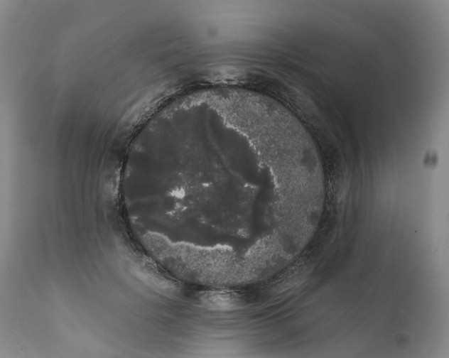 X0000111370652200907241247