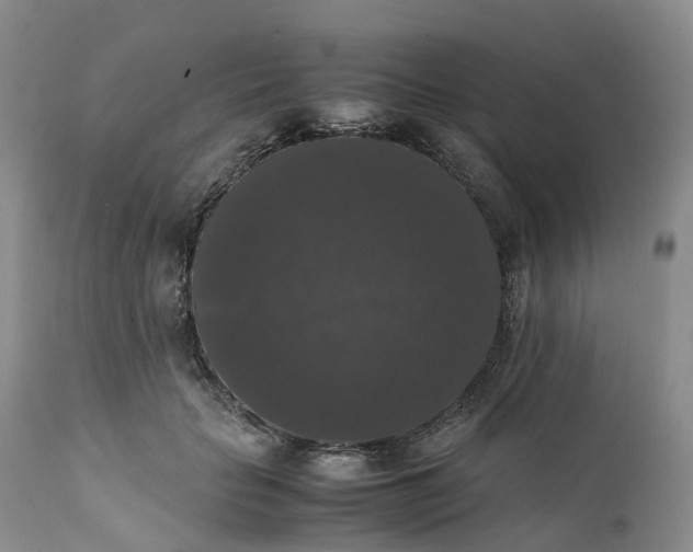 X0000111370653200907241247