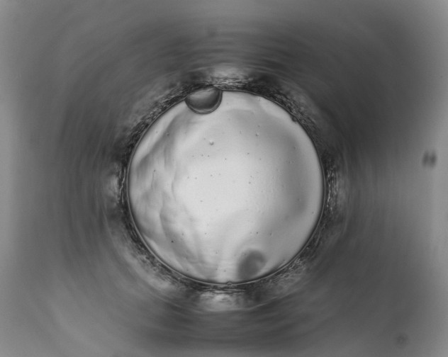 X0000111370655200907241247