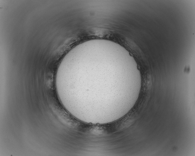 X0000111370656200907241247