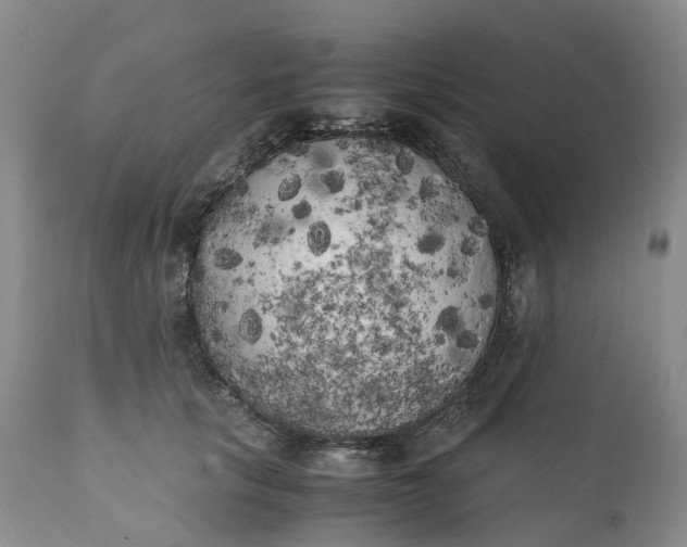 X0000111370657200907241247