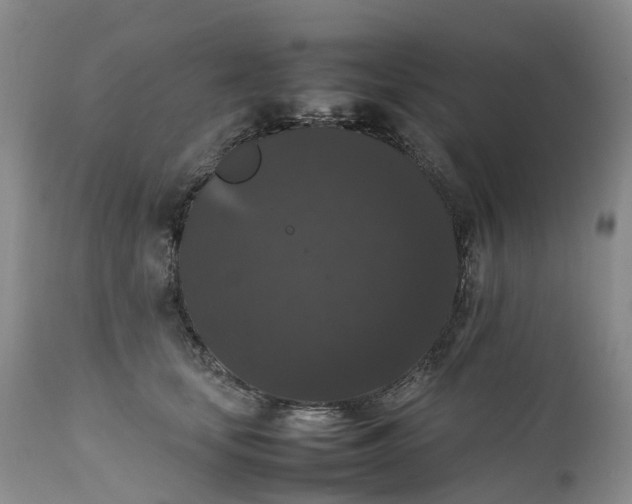 X0000111370659200907241247