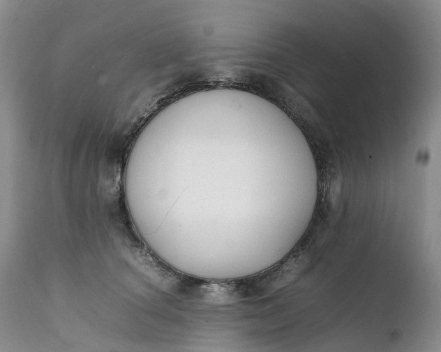 X0000111370660200907241247