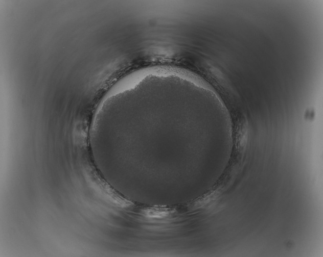 X0000111370661200907241247