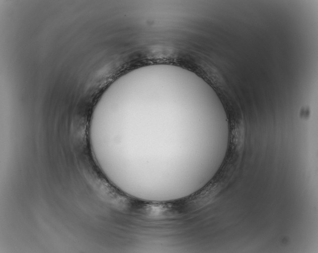 X0000111370662200907241247