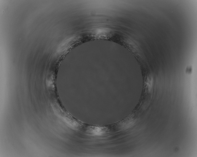 X0000111370663200907241247