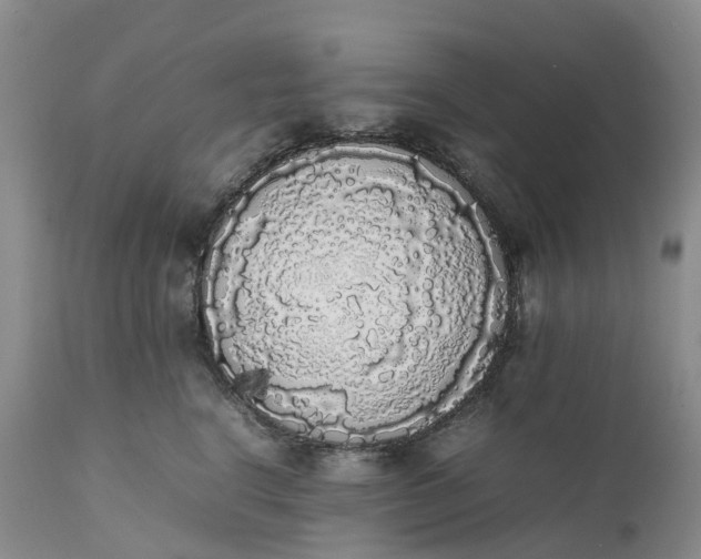 X0000111370664200907241247