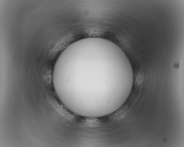 X0000111370666200907241247