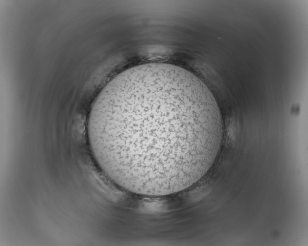 X0000111370667200907241247