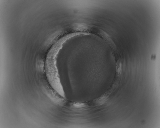 X0000111370669200907241247