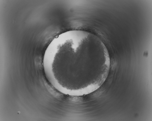 X0000111370670200907241247