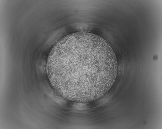 X0000111370671200907241247