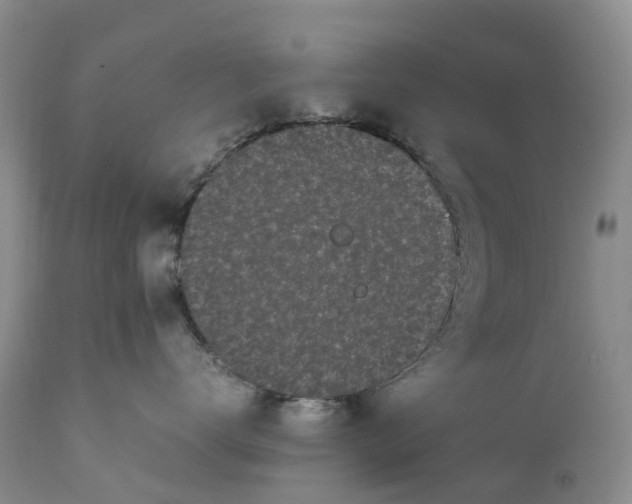 X0000111370672200907241247