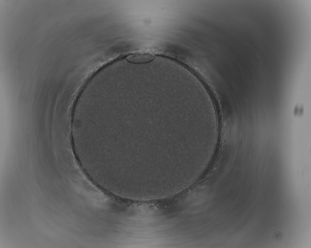 X0000111370673200907241246