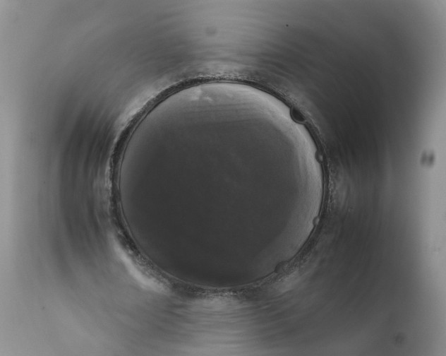 X0000111370674200907241246