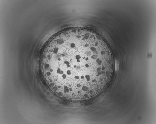 X0000111370675200907241246