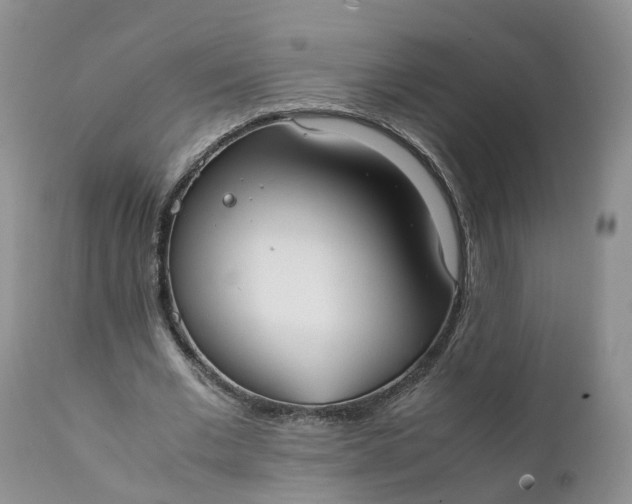 X0000111370677200907241246