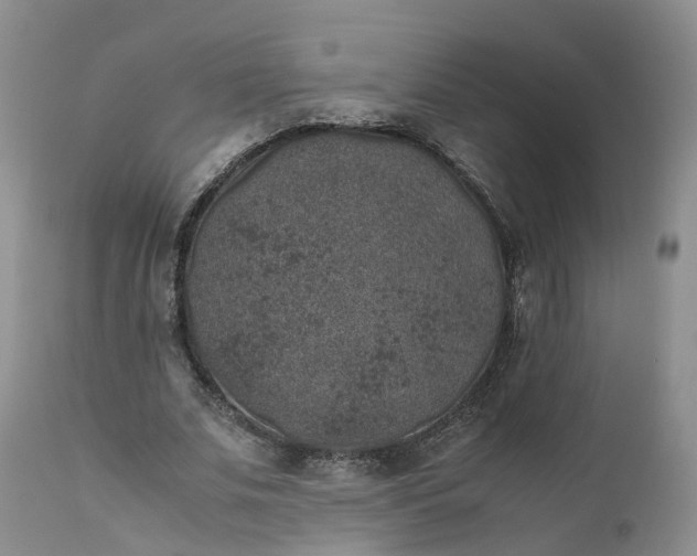 X0000111370679200907241246