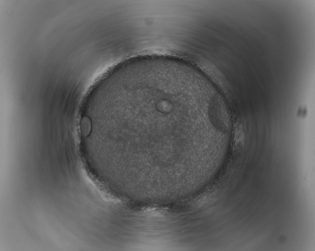 X0000111370680200907241246