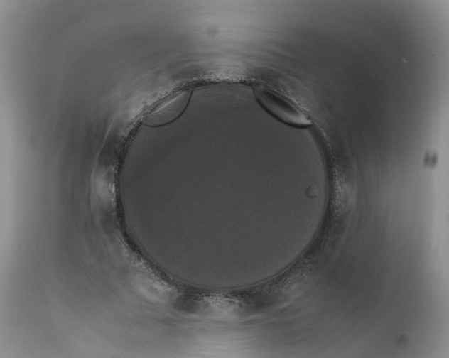 X0000111370681200907241246