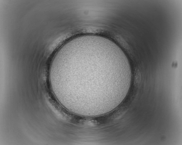 X0000111370683200907241246