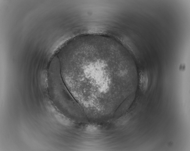 X0000111370684200907241246