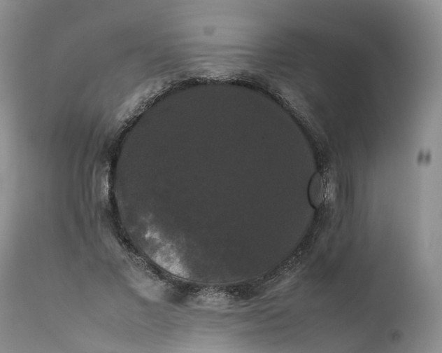 X0000111370685200907241246