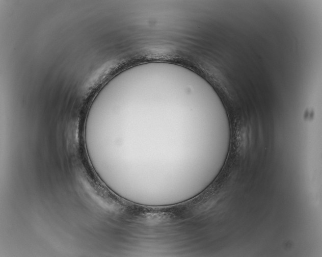 X0000111370686200907241246