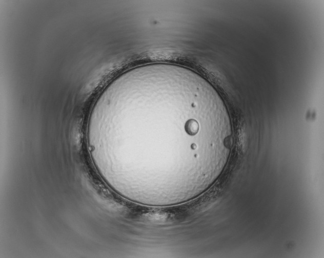 X0000111370687200907241246