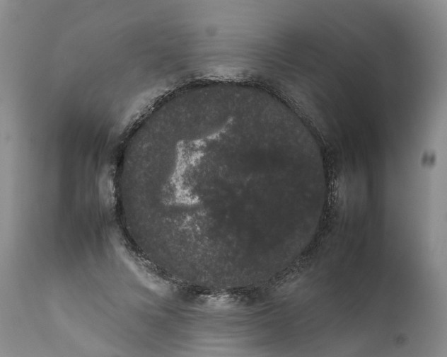 X0000111370688200907241246