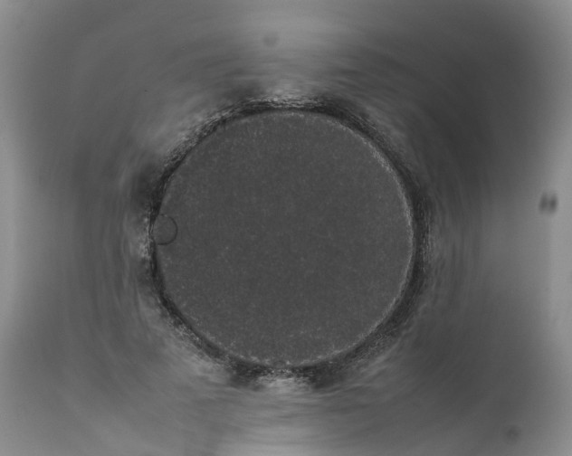 X0000111370689200907241246