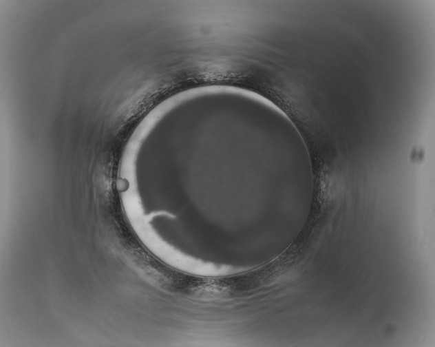 X0000111370691200907241246