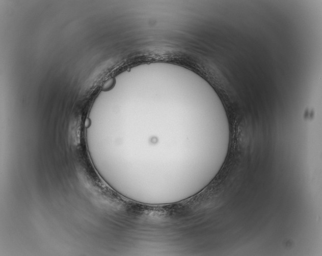 X0000111370694200907241246