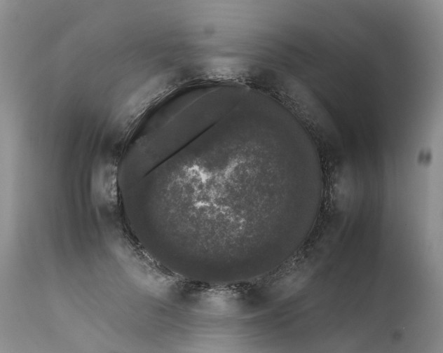 X0000111370696200907241246