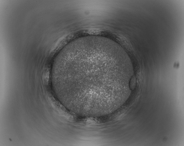 X0000111370697200907241246