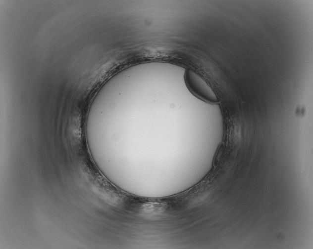 X0000111370700200907241246